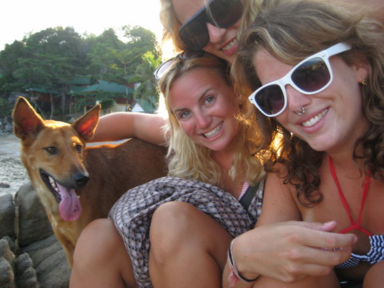 hund. mish. andrea. denja.