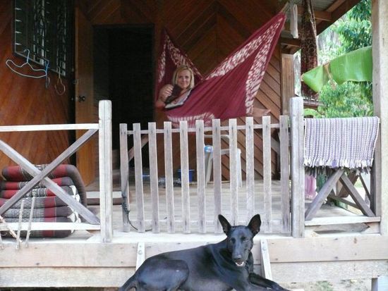 unser zuhause und einer unserer drei hunde