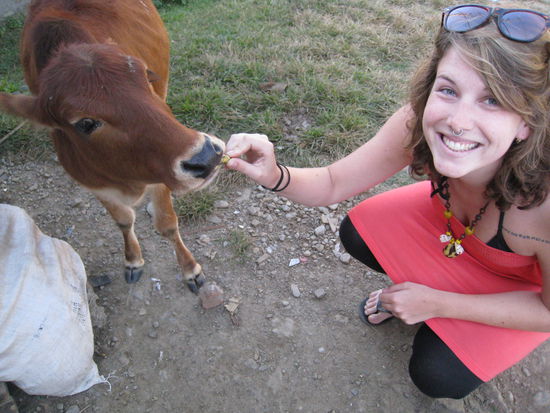 und noch zwei bananen fuer die kuh
good karma hihi