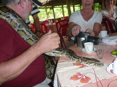Python neben Teetasse...uiiii!