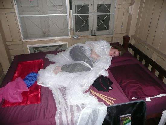 So war das aber nicht gedacht... Moskitonetz vorher