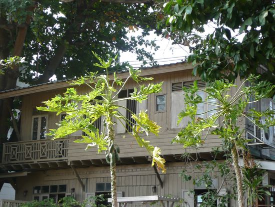 Ganz links ist unser Balkon