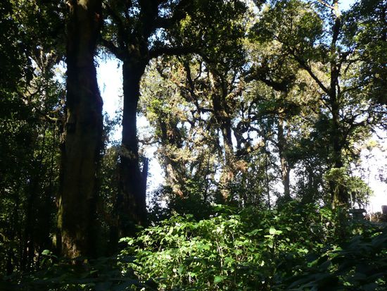 Atemberaubende Aussicht von ganz oben  Wie man sieht, sieht man nix.