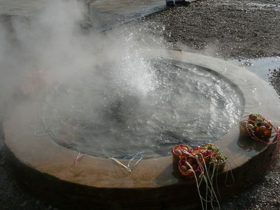 ...in denen man Wachteleier kochen kann