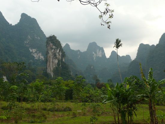 Bizarre Kalksteinfelsen im Khao Sok NP