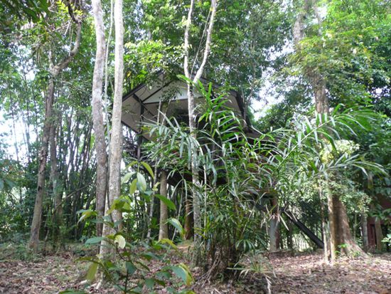 Unser Tree House