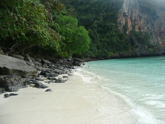 Monkey Beach