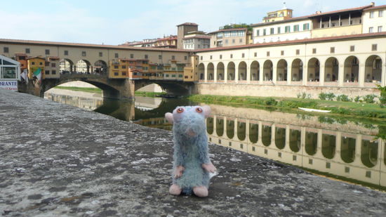 Die ganze Zeit war Remi unser treuer Begleiter...auch in Florenz