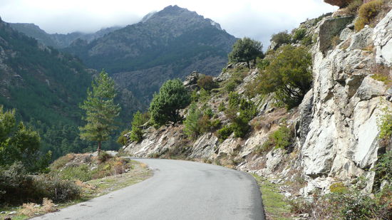 Das Asco Tal ist eine DER Attraktionen Korsikas. ...Unglaublich schön.