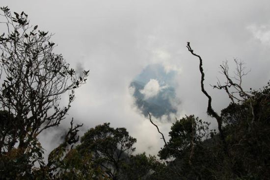 Blick vom Gunung Brinchang (2.032m)