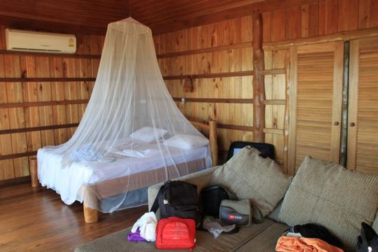 Das Moskitonetz ist eher eine Schutzmaßnahme. Sonderlich viele Plagegeister gibts eigentlich nicht.