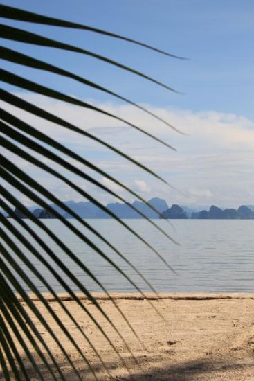 Noch ein Abschiedsfoto (künstlerisch wertvoll!)