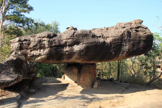 Manchmal macht die Natur seltsame Dinge.