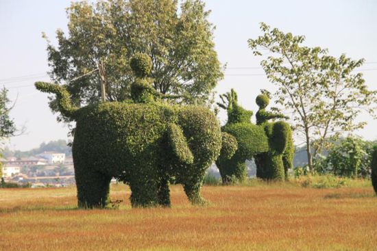 Der Park nahe Tha Bo, in dem viele lustige Figuren zurecht geschnitten sind.