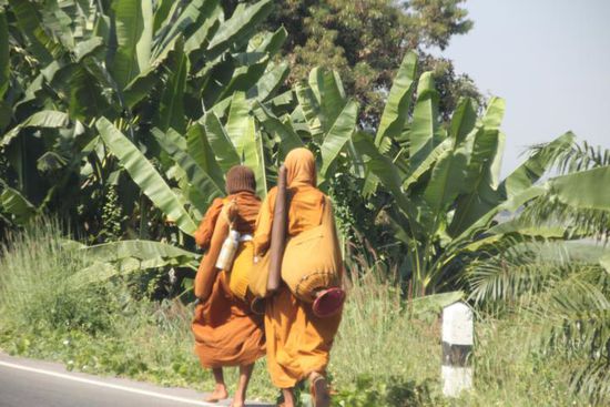 Häufiger zu sehen. Mönche auf Wanderschaft