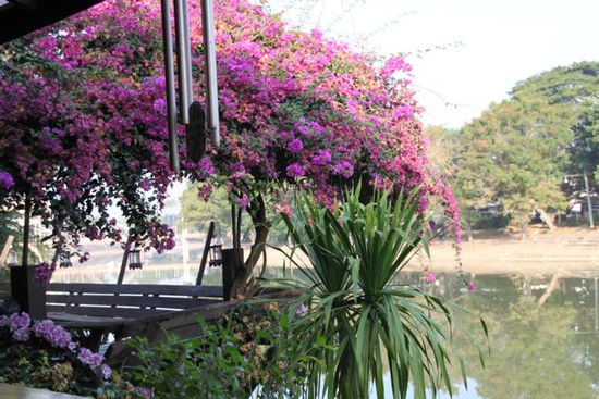Ein nettes Plätzchen das Riverside in Lampang