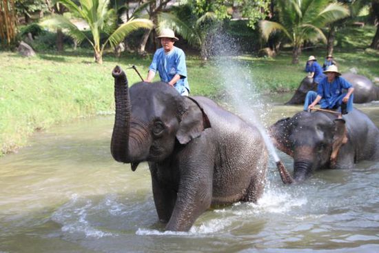 Muss man ja mal zeigen, dass man mit Wasser spritzen kann.