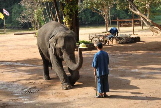 Etwas Show gehört einfach dazu...
