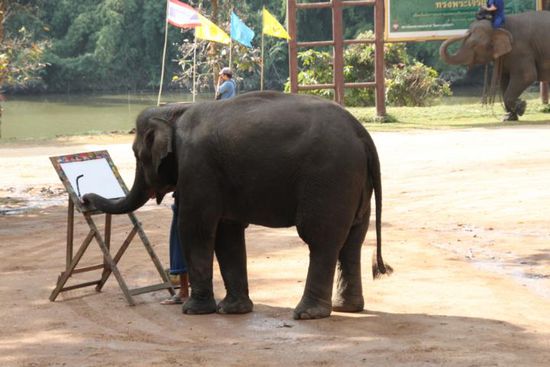 Ok! Ist nicht das Natürlichste, das ein Fanti macht, aber genau dieses Bild haben wir gekauft. Wer es sehen will, muss uns besuchen kommen.