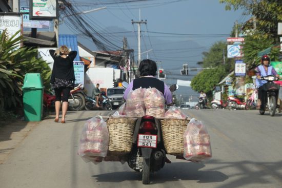Mopeds sind in Thailand das, was in Deutschland Kleintransporter sind.