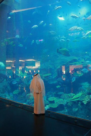 Die Emirati staunen selbst über ihre ganzen Meisterleistungen