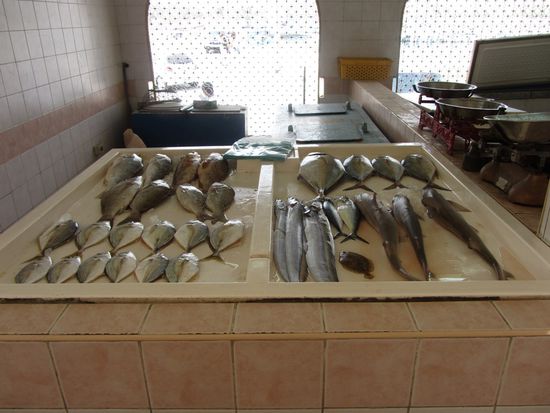 Im Fish Souq