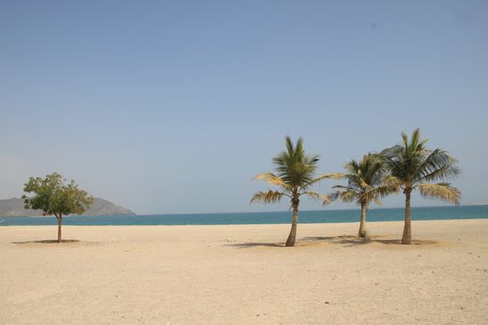 Strandidylle mitten in der Stadt