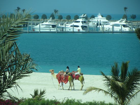 ...wo man auch Kamelreiten konnte