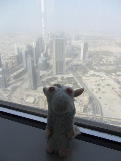 Remi wollte auch auf's Foto