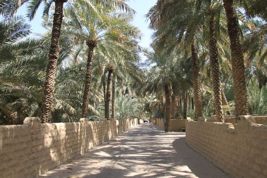 In der Oase von Al Ain