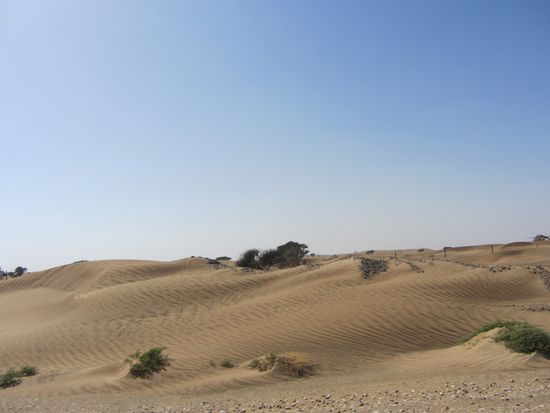 ...links und rechts nur Wüste