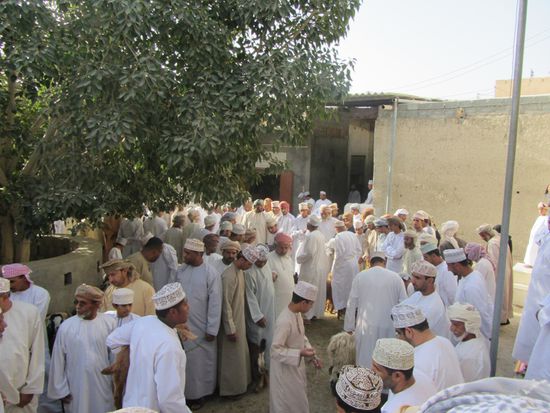 Auf dem Tiermarkt in Bahla