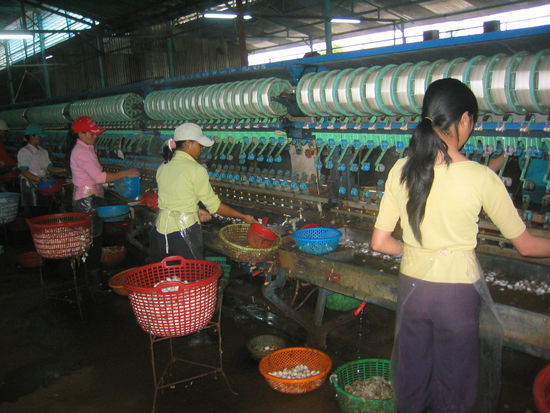 Die fleissigen Maedels.Ihre Maenner sitzen wahrscheinlich im Cafe.