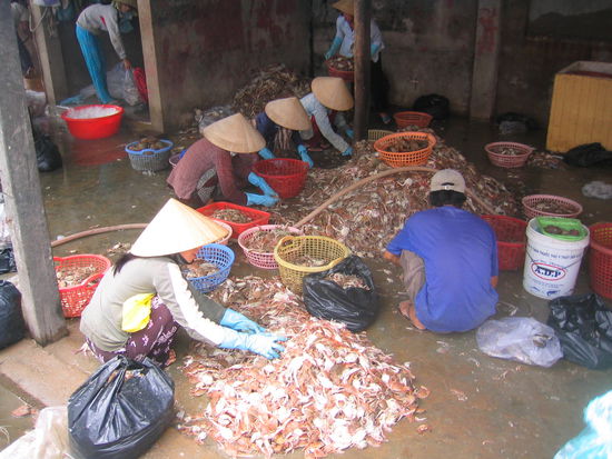 Berge von leckeren Shrimps.
