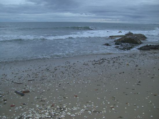 Muschelparadies