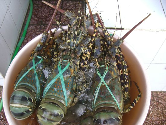 Ihr kommt gleich auf den Grill!!!