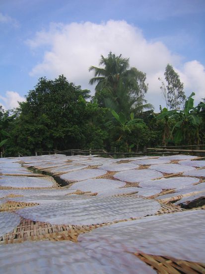 Reispapier trocknet in der Sonne.
