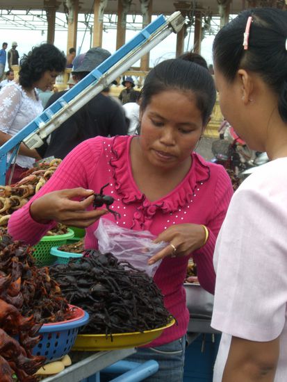 Spinnen sind besonders begehrt bei den Einheimischen.
