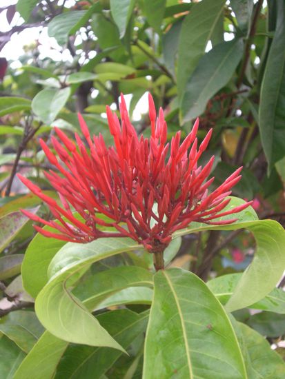 Sooooooooo schoen!!!