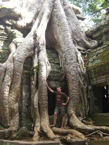 Ta Prohm war einfach unglaublich.
(Tomb Raider)