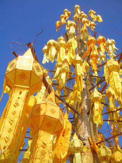 Loi Kathrong Lampions