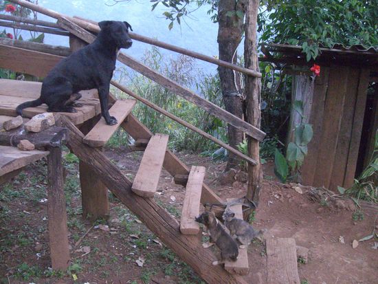Mama wartet schon auf Euch.