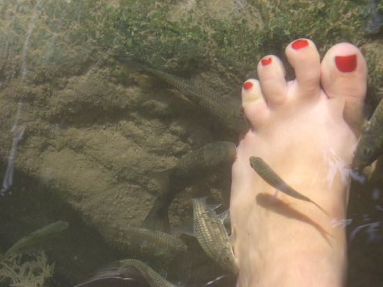 Heute frueh hatte ich doch noch 5 Zehen?