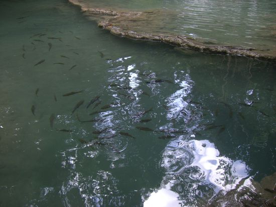Leider hatte Peter seine Angel vergessen.
