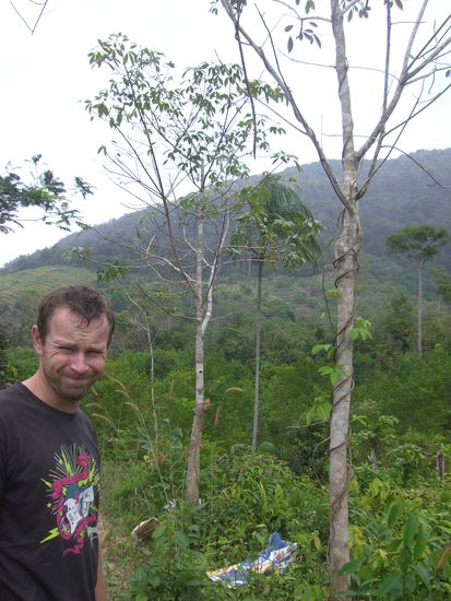 Immer noch kritische Blicke wegen dem Strand!