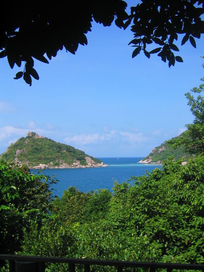 Aussicht auf die vorgelagerte Insel Koh Nang Yuan
CFT Bungalow