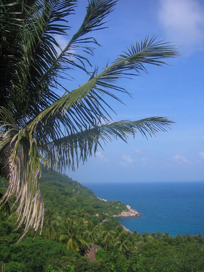 Koh Tao