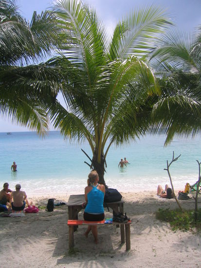 Und liebe Palme, was hast du heute so gemacht? 