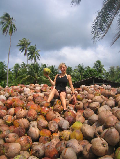 "Peter!!!!!!!????, machst du mir die Kokosnuss auf?"