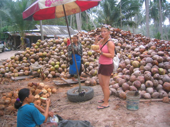 Gott sei Dank muss ich nicht die ganzen Kokosnuesse aufmachen!!!